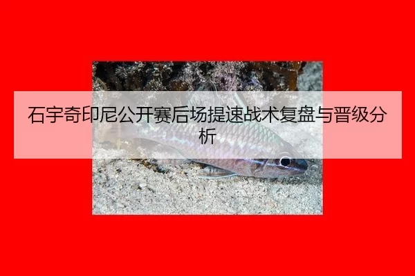 石宇奇印尼公开赛后场提速战术复盘与晋级分析